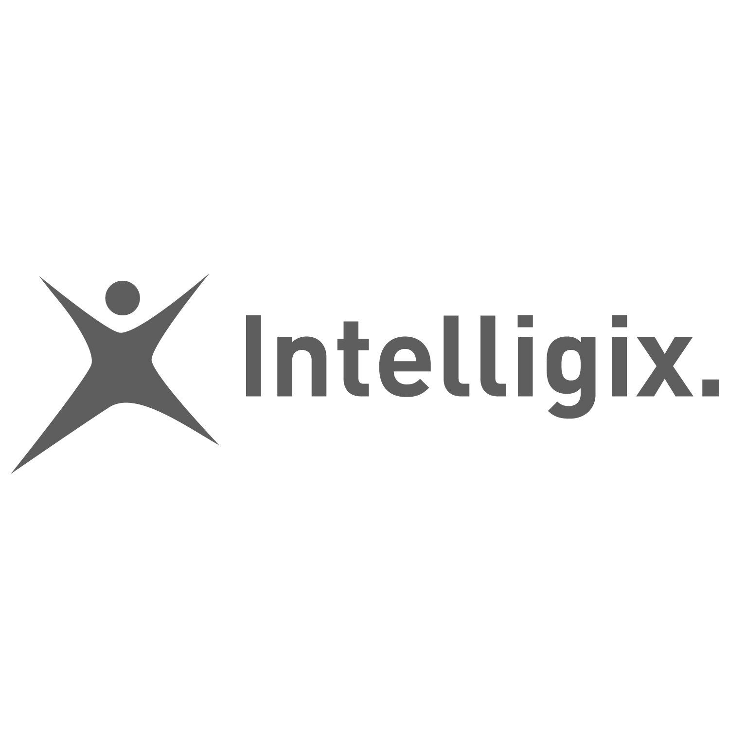 Intelligix_farbig_neu